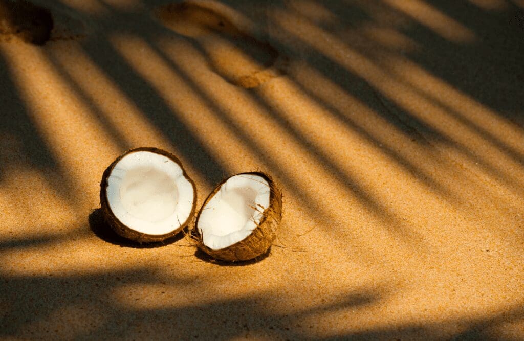 Coconut on the sands. Foods. Brisbane Livewell Clinic