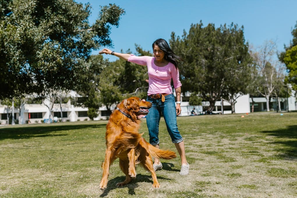 A Woman Playing with Her Pet Dog at a Park. Genetic Methylation Testing Brisbane