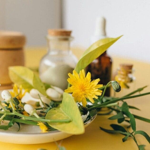 herbal, flowers, natural medicine, alternative medicine