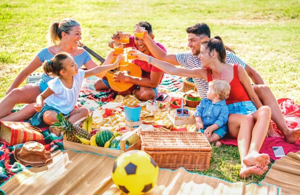 Family gathered on a picnic blanket in the park. Clinical Nutritionist Camp HIll. Food Allegy Testing. Nutrition Brisbane. Brisbane Livewell Clinic