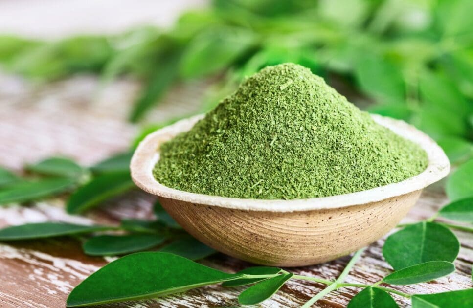 Moringa powder. Winter Wellness. Brisbane Livewell Clinic
