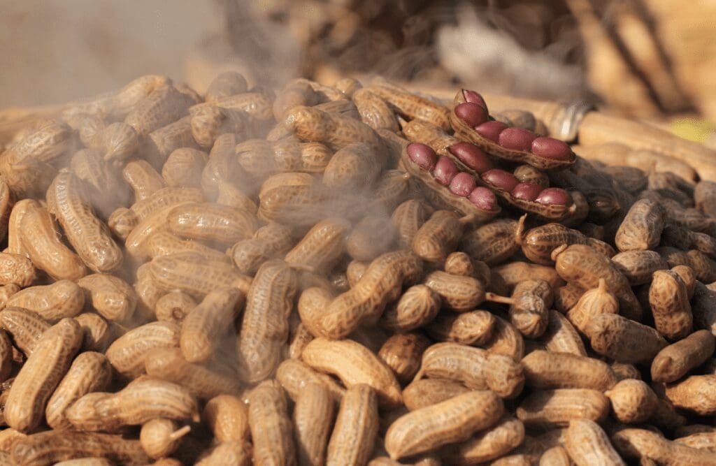 Boiled peanuts. Gut Health Brisbane. Brisbane Livewell Clinic