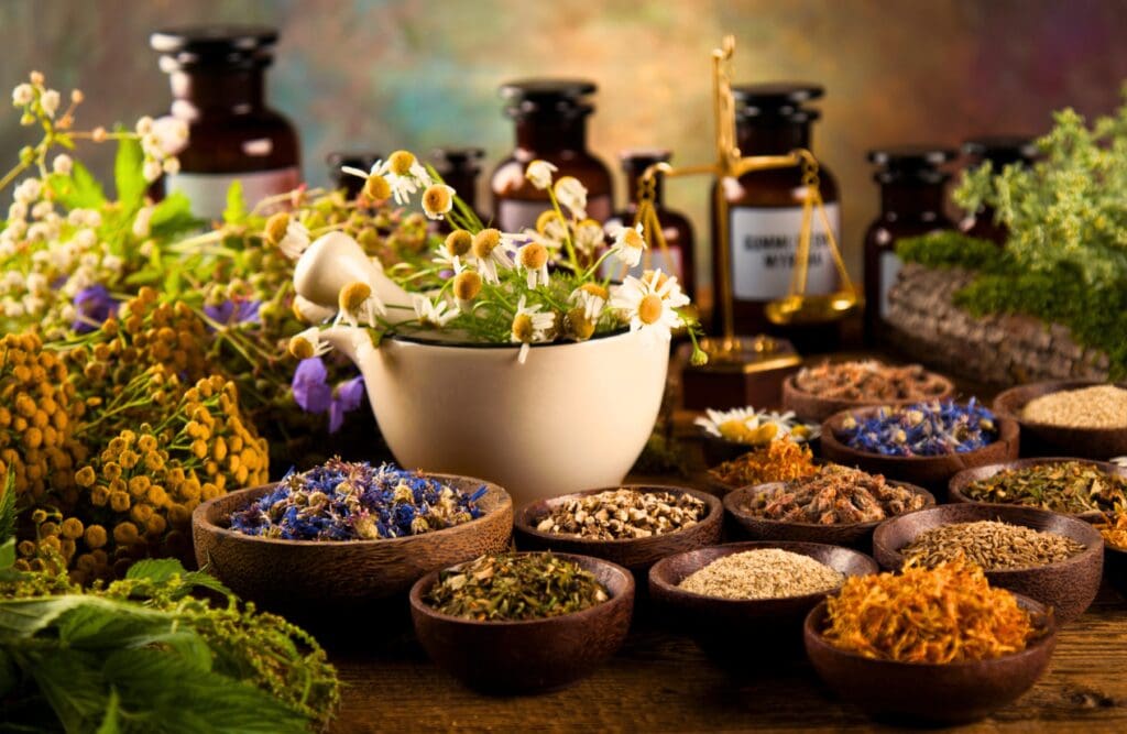 Various healing herbs on the wooden table. Naturopaths. Brisbane Livewell Clinic