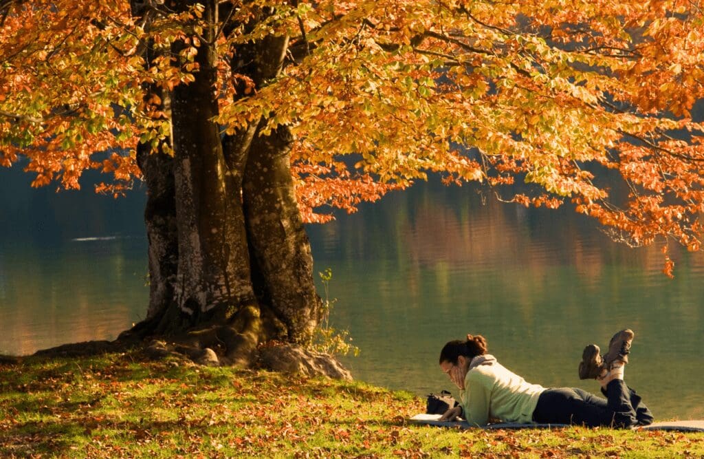 Woman reading a book under the tree. Hypnotherapy cost in Australia. Brisbane Livewell Clinic