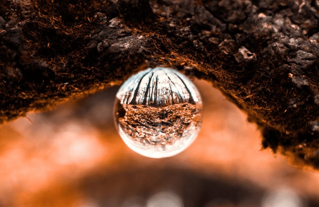 Selective focus on water dew. Hypnotherapy FAQs. Brisbane Livewell Clinic