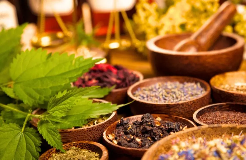 Various herbal medicine. Controlling Constipation and Bloating. Brisbane Livewell Clinic