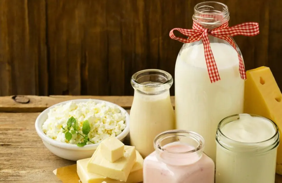 Variety of dairy products. Coeliac Disease. Brisbane Livewell Clinic. Causes of Constipation