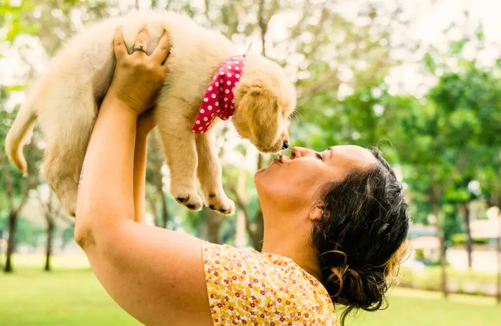 Woman playing with her dog outdoors. Counselling Geebung. Brisbane Livewell Clinic