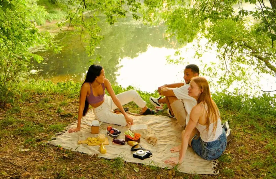 Three friends having a picnic in the park. Counsellor. Counselling Clayfield. Brisbane Livewell Clinic