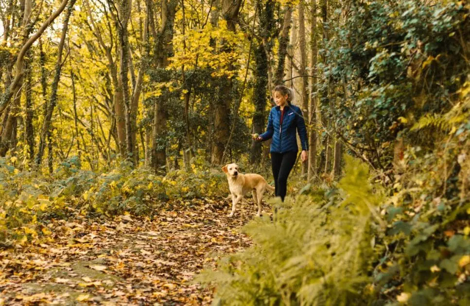 Woman and her dog walking in the woods. Hypnotherapy near Chermside. Osteopath Coorparoo. Brisbane Livewell Clinic