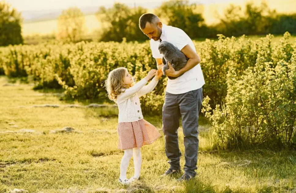 Man and a young girl enjoying a sunny day together as they stand in a field, holding a cat gently between them. Hypnotherapy near Wooloowin. Brisbane Livewell Clinic